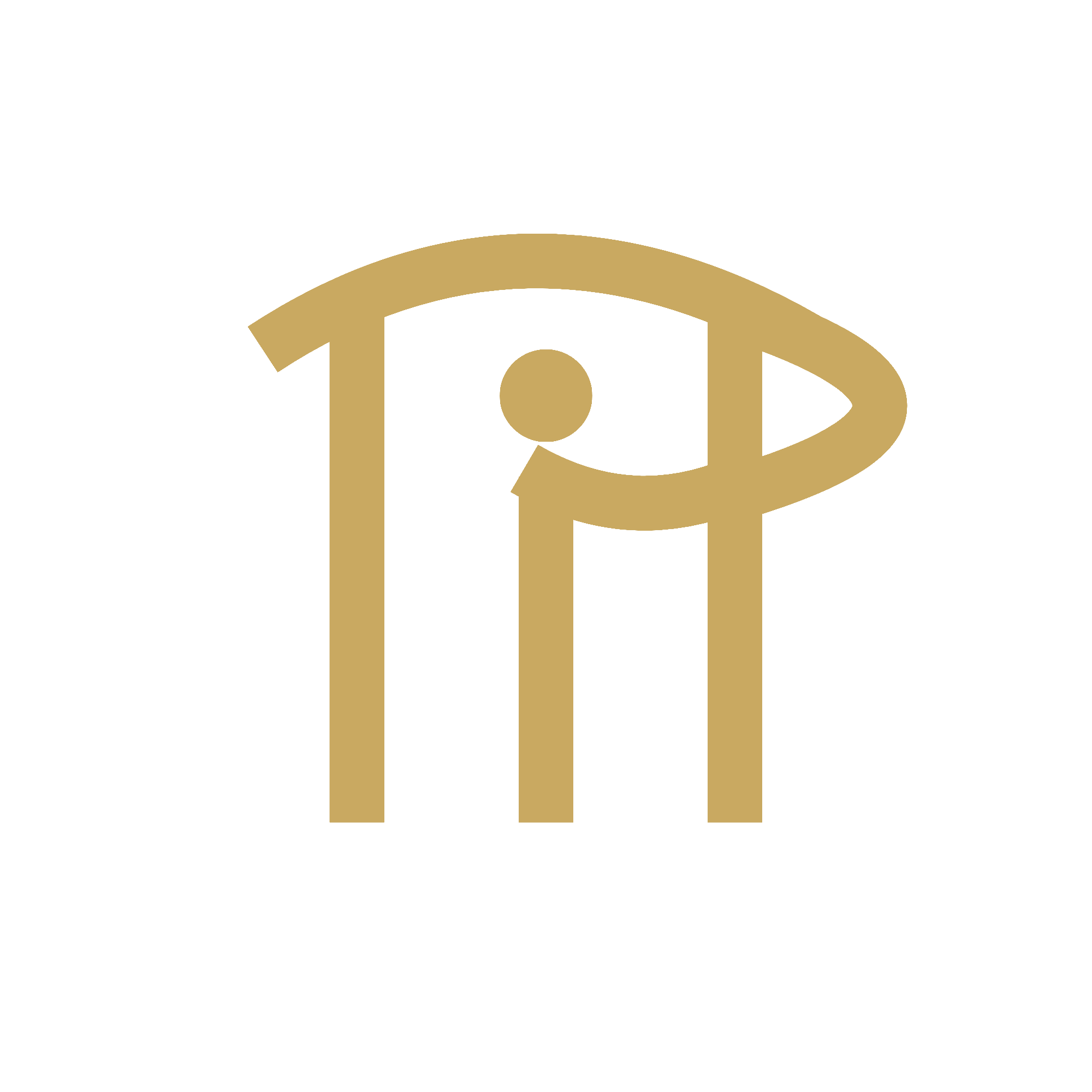TIP logo